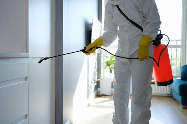 Best Post-Flood Mold Remediation in Pulaski, TN